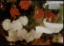 Konkurs miesiąca, maj 1996, wyróżnienie 1 [Dokument ikonograficzny]