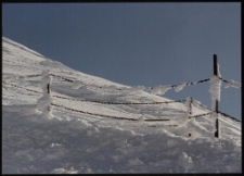 Konkurs miesiąca, sierpień 1996, miejsce 2 [Dokument ikonograficzny]