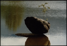 Konkurs miesiąca, sierpień 1996, wyróżnienie [Dokument ikonograficzny]