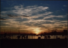 Konkurs miesiąca, luty 2005, miejsce 3 [Dokument ikonograficzny]