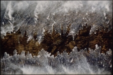 Konkurs miesiąca, kwiecień 2005, wyróżnienie [Dokument ikonograficzny]