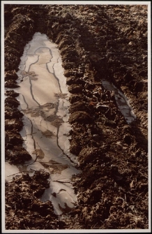 Konkurs miesiąca, maj 2005, miejsce 2 [Dokument ikonograficzny]