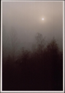 Konkurs miesiąca, maj 2005, wyr&oacute;żnienie [Dokument ikonograficzny]