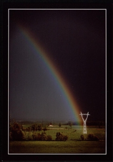 Konkurs miesiąca, czerwiec 2005, miejsce 1 [Dokument ikonograficzny]