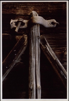 Konkurs miesiąca, lipiec 2005, miejsce 1 [Dokument ikonograficzny]