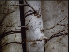 Konkurs miesiąca, lipiec 2005, miejsce 3 [Dokument ikonograficzny]