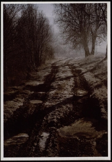 Konkurs miesiąca, październik 2005, miejsce 2 [Dokument ikonograficzny]