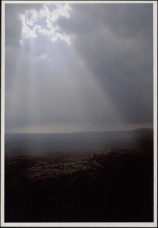 Konkurs miesiąca, grudzień 2005, miejsce 2 [Dokument ikonograficzny]