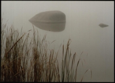 Konkurs miesiąca, październik 1996, miejsce 3 [Dokument ikonograficzny]