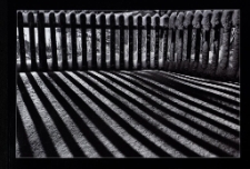 Konkurs miesiąca, styczeń 2011, miejsce 1 [Dokument ikonograficzny]