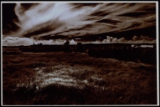 Konkurs miesiąca, styczeń 2011, miejsce 3 [Dokument ikonograficzny]