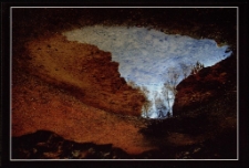 Konkurs miesiąca, luty 2011, miejsce 2 [Dokument ikonograficzny]