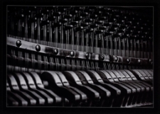 Konkurs miesiąca, marzec 2011, wyróżnienie [Dokument ikonograficzny]