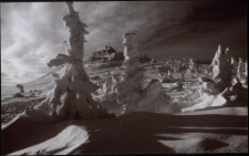 Konkurs miesiąca, kwiecień 2011, miejsce 1 [Dokument ikonograficzny]