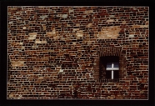 Konkurs miesiąca, maj 2011, miejsce 2 [Dokument ikonograficzny]