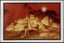 Konkurs miesiąca, czerwiec 2011, miejsce 2 [Dokument ikonograficzny]