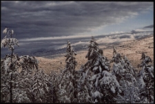 Konkurs miesiąca, czerwiec 2011, miejsce 3 [Dokument ikonograficzny]