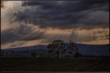 Konkurs miesiąca, czerwiec 2011, wyr&oacute;żnienie [Dokument ikonograficzny]
