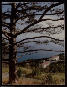 Konkurs miesiąca, listopad 2011, miejsce 3 [Dokument ikonograficzny]