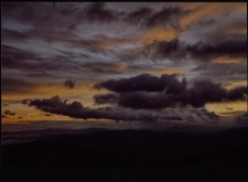 Konkurs miesiąca, listopad 2011, wyróżnienie [Dokument ikonograficzny]