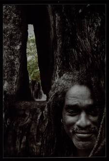 Konkurs miesiąca, styczeń 2012, wyróżnienie [Dokument ikonograficzny]