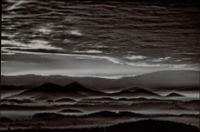 Konkurs miesiąca, styczeń 2012, wyróżnienie [Dokument ikonograficzny]