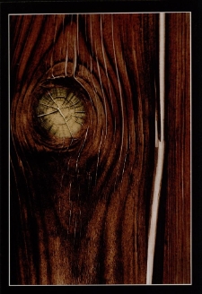 Konkurs miesiąca, luty 2012, wyróżnienie [Dokument ikonograficzny]