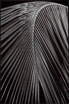 Konkurs miesiąca, kwiecień 2012, miejsce 3 [Dokument ikonograficzny]