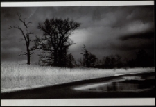 Konkurs miesiąca, kwiecień 2012, wyróżnienie [Dokument ikonograficzny]