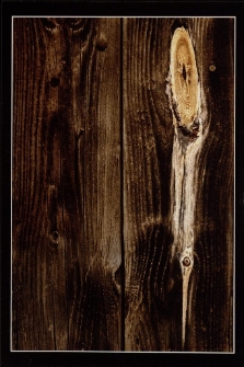 Konkurs miesiąca, maj 2012, wyróżnienie [Dokument ikonograficzny]