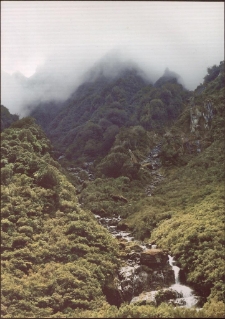 Konkurs miesiąca, lipiec 2012, miejsce 2 [Dokument ikonograficzny]