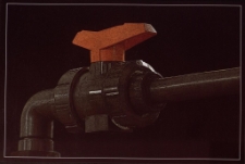 Konkurs miesiąca, sierpień 2012, miejsce 1 [Dokument ikonograficzny]