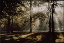 Konkurs miesiąca, wrzesień 2012, wyr&oacute;żnienie [Dokument ikonograficzny]