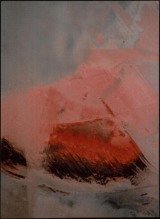 Konkurs miesiąca, czerwiec 2012, wyróżnienie [Dokument ikonograficzny]