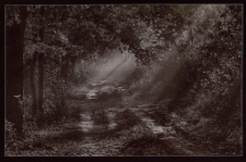 Konkurs miesiąca, październik 2012, wyróżnienie [Dokument ikonograficzny]