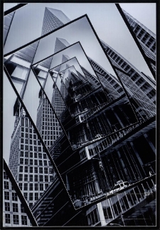 Konkurs miesiąca, listopad 2012, miejsce 1 [Dokument ikonograficzny]