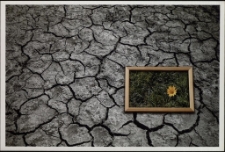 Konkurs miesiąca, listopad 2012, miejsce 3 [Dokument ikonograficzny]