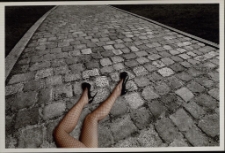 Konkurs miesiąca, listopad 2012, wyr&oacute;żnienie [Dokument ikonograficzny]