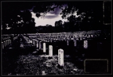 Konkurs miesiąca, grudzień 2012, wyróżnienie [Dokument ikonograficzny]