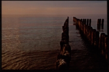 Konkurs miesiąca, styczeń 2013, wyróżnienie [Dokument ikonograficzny]