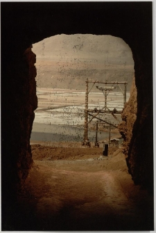 Konkurs miesiąca, marzec 2013, miejsce 2 [Dokument ikonograficzny]