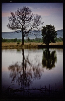 Konkurs miesiąca, marzec 2013, wyróżnienie [Dokument ikonograficzny]