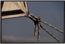 Konkurs miesiąca, kwiecień 2013, wyróżnienie [Dokument ikonograficzny]