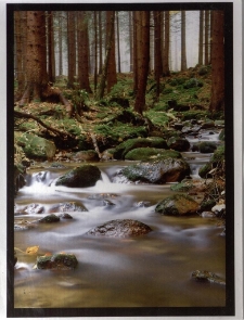 Konkurs miesiąca, lipiec 2013, miejsce 1 [Dokument ikonograficzny]