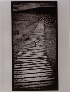 Konkurs miesiąca, lipiec 2013, miejsce 2 [Dokument ikonograficzny]