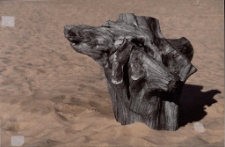 Konkurs miesiąca, lipiec 2013, wyróżnienie [Dokument ikonograficzny]