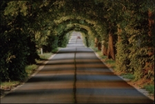 Konkurs miesiąca, lipiec 2013, wyróżnienie [Dokument ikonograficzny]