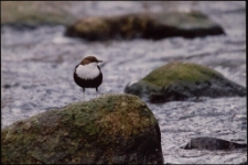 Konkurs miesiąca, lipiec 2013, wyróżnienie [Dokument ikonograficzny]