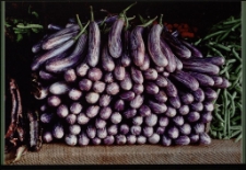 Konkurs miesiąca, sierpień 2013, wyróżnienie [Dokument ikonograficzny]