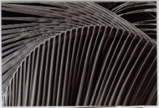 Konkurs miesiąca, wrzesień 2013, miejsce 2 [Dokument ikonograficzny]